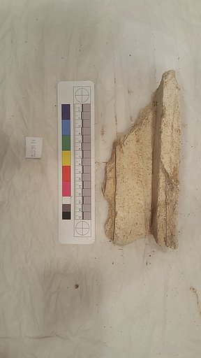 Stucco Fragment