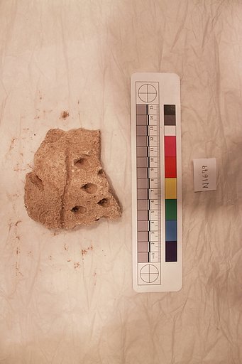 Stucco Fragment
