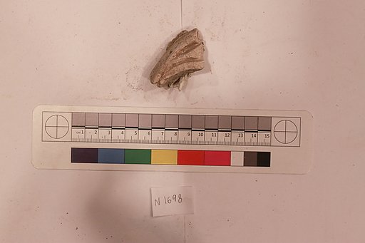 Stucco Fragment