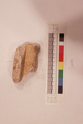 Stucco Fragment