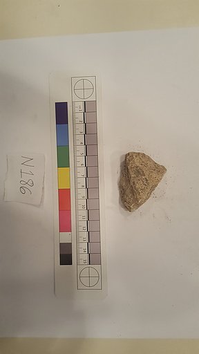 Stucco Fragment