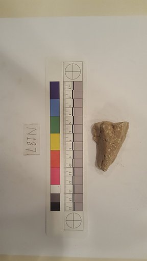 Stucco Fragment