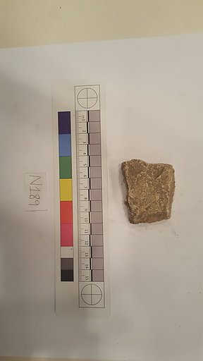 Stucco Fragment