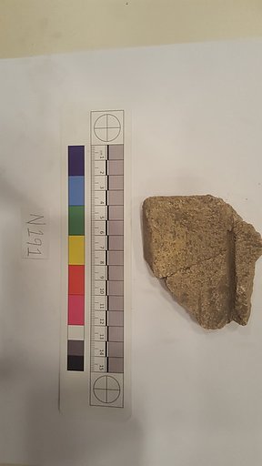 Stucco Fragment