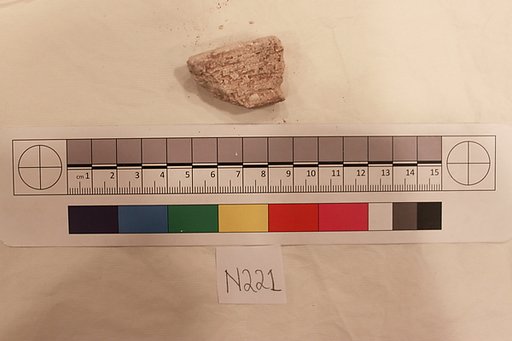 Stucco Fragment