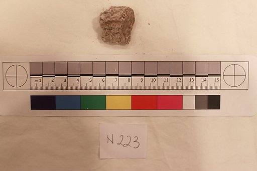 Stucco Fragment