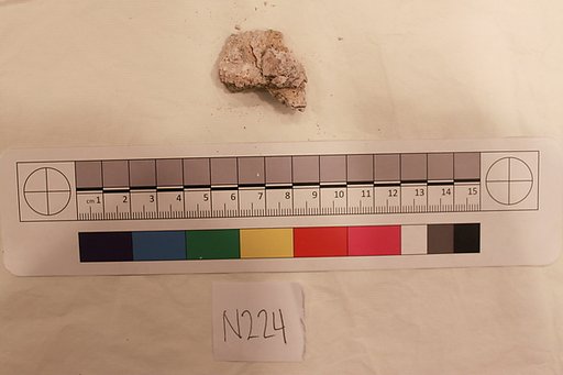 Stucco Fragment
