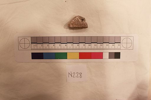 Stucco Fragment