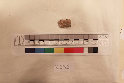 Stucco Fragment