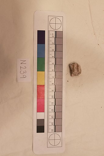 Stucco Fragment