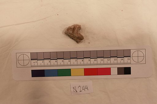 Stucco Fragment