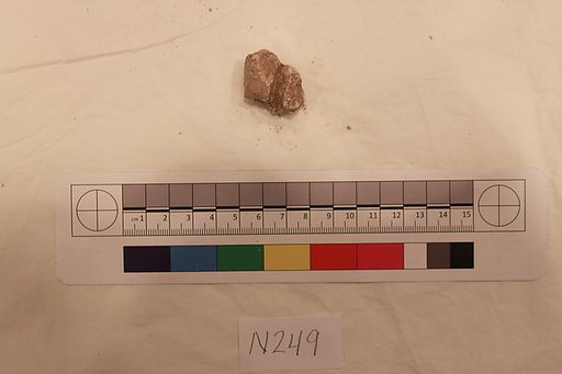 Stucco Fragment