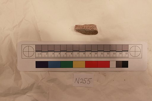 Stucco Fragment