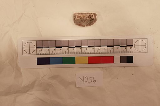 Stucco Fragment