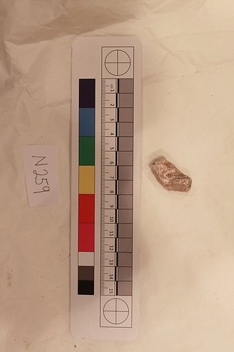 Stucco Fragment
