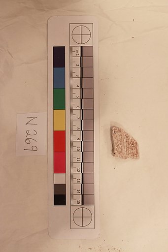 Stucco Fragment