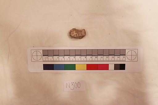 Stucco Fragment