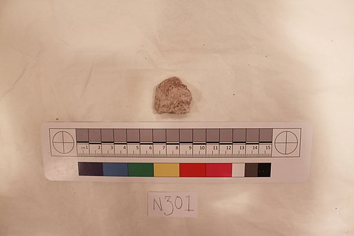 Stucco Fragment