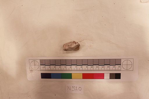 Stucco Fragment