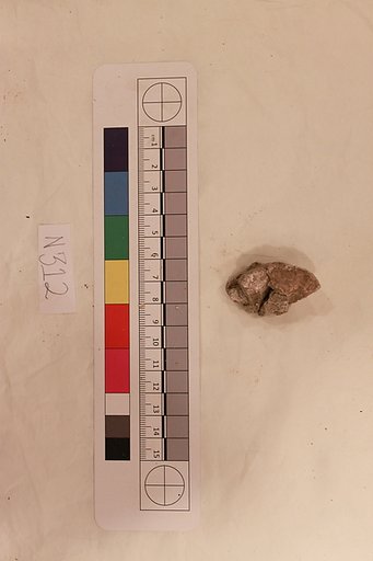 Stucco Fragment