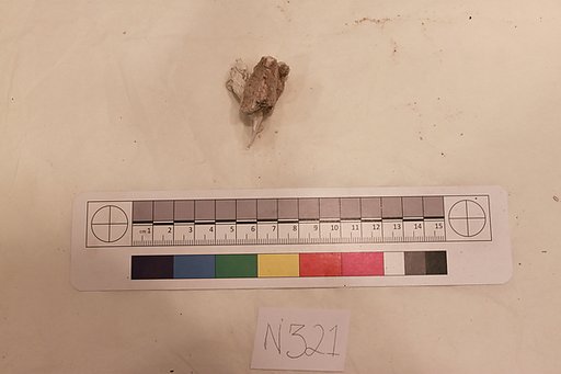 Stucco Fragment