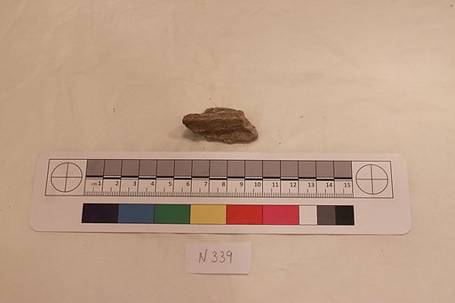 Stucco Fragment