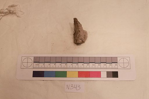 Stucco Fragment