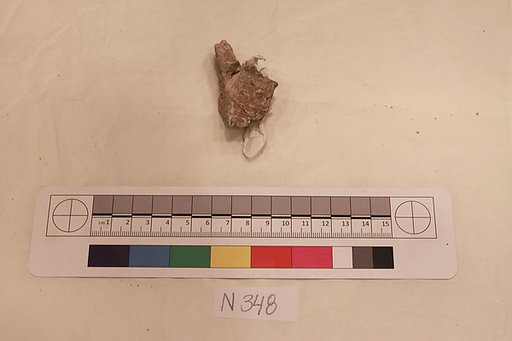 Stucco Fragment