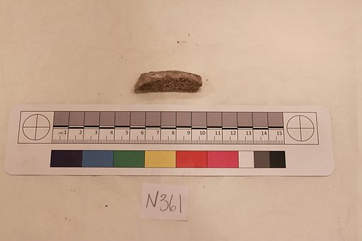 Stucco Fragment