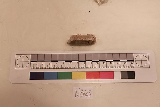 Stucco Fragment