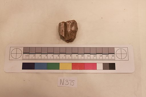 Stucco Fragment
