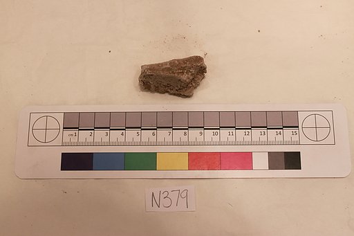 Stucco Fragment
