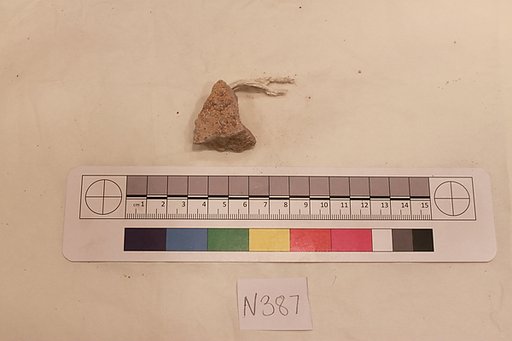 Stucco Fragment