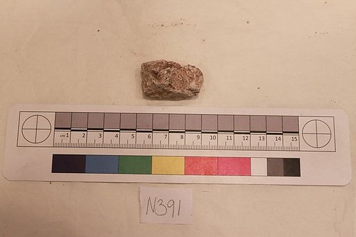 Stucco Fragment