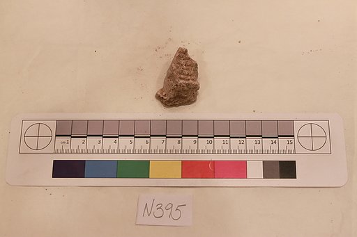 Stucco Fragment