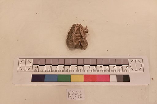 Stucco Fragment
