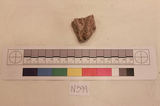 Stucco Fragment