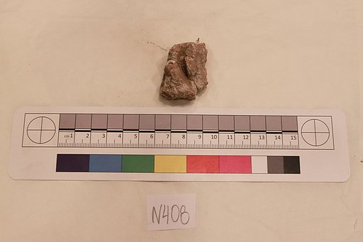 Stucco Fragment