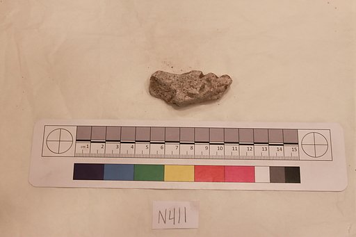 Stucco Fragment