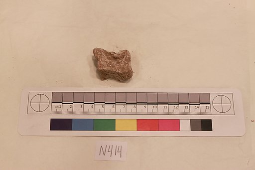 Stucco Fragment