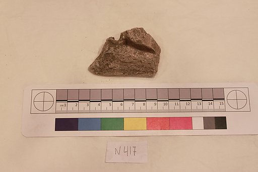 Stucco Fragment