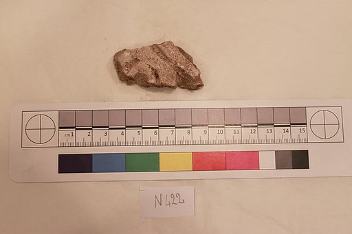Stucco Fragment