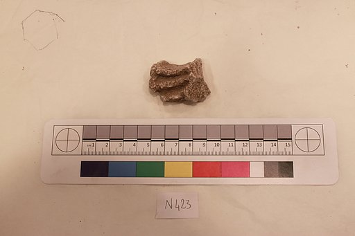 Stucco Fragment