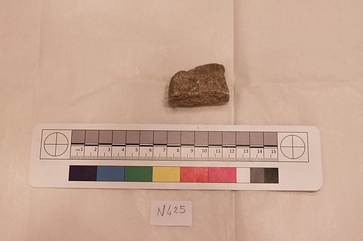 Stucco Fragment