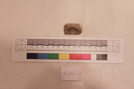 Stucco Fragment