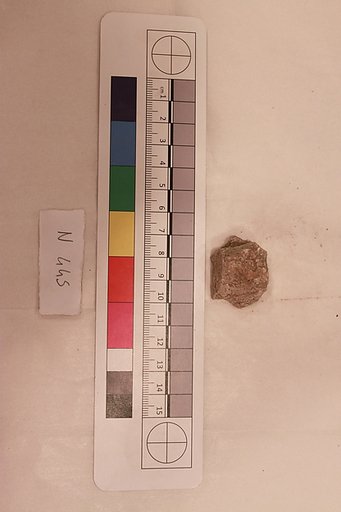 Stucco Fragment