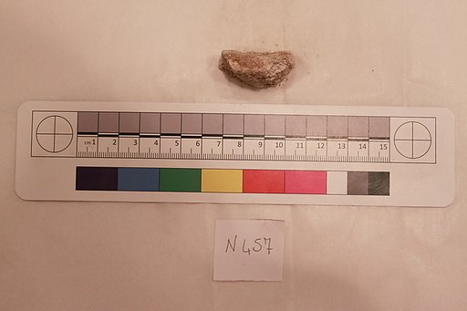 Stucco Fragment