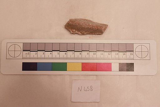 Stucco Fragment