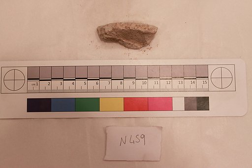 Stucco Fragment