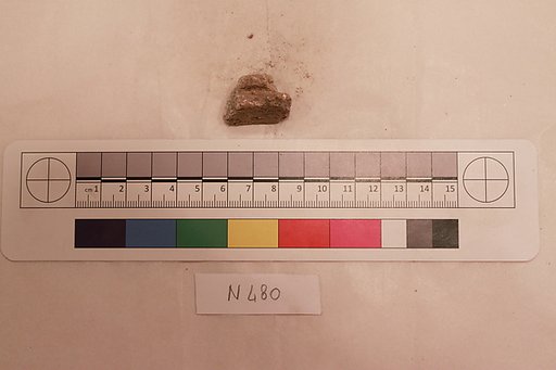 Stucco Fragment